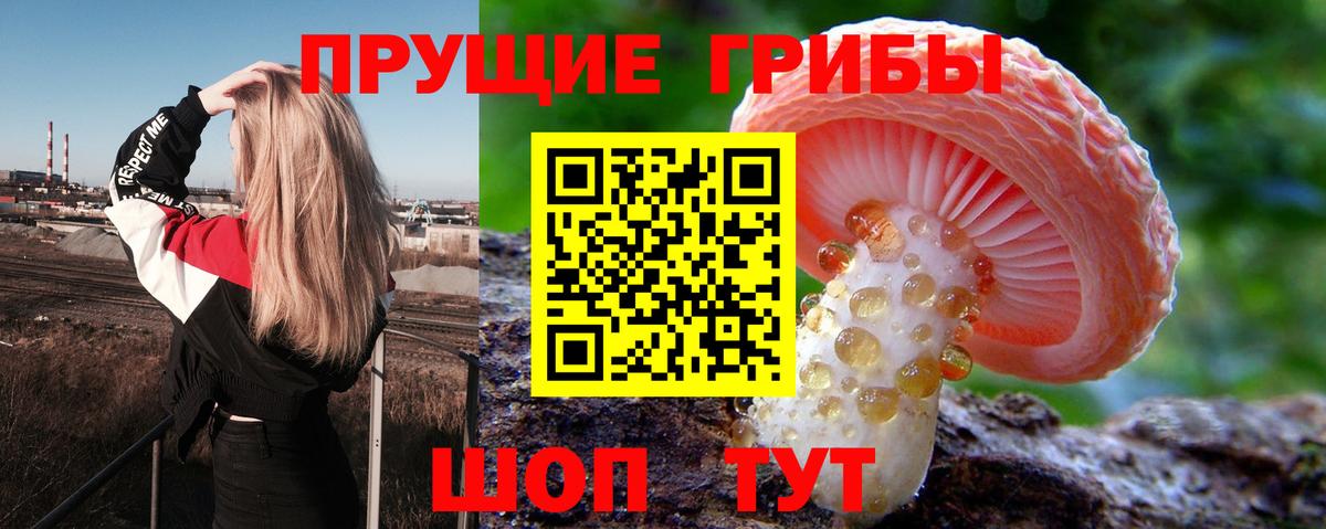 Галлюциногенные грибы мухоморы Набережные Челны